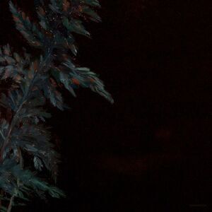 Lucy Roleff - Dark Green  LP LP